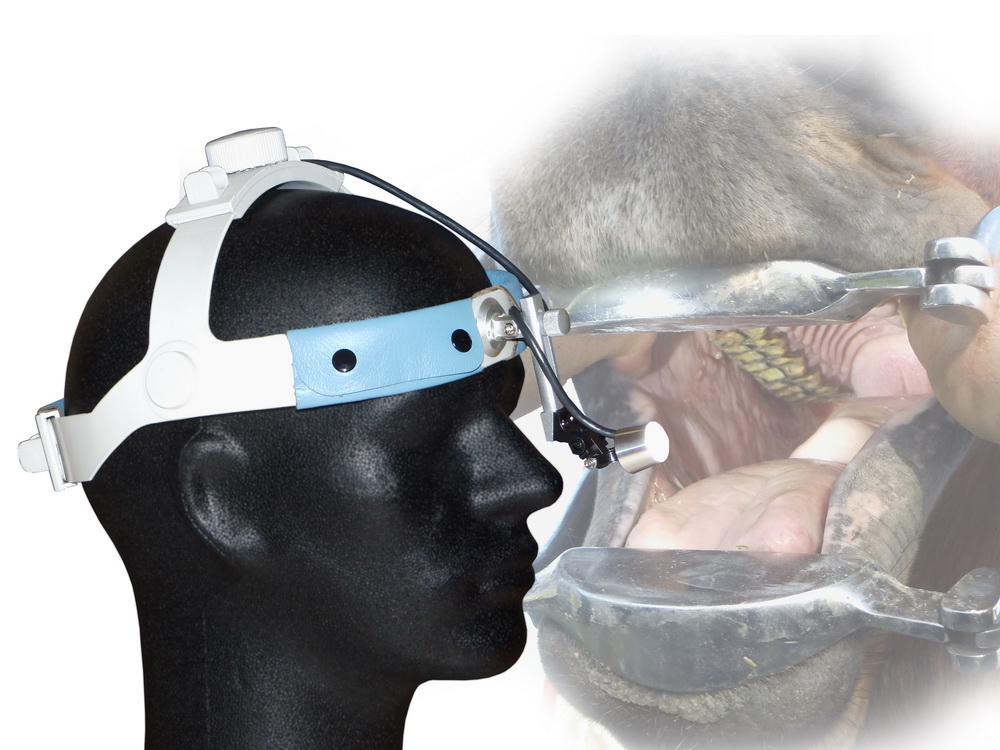 PowerLight lite Sporty, montado em Headband para o dentista equino